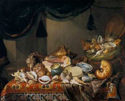 Still-Life with Shells by Bartolomeo Bimbi